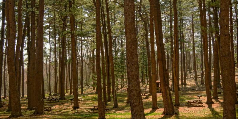 Hebei31：解码燕赵大地的文化密码与地标传奇