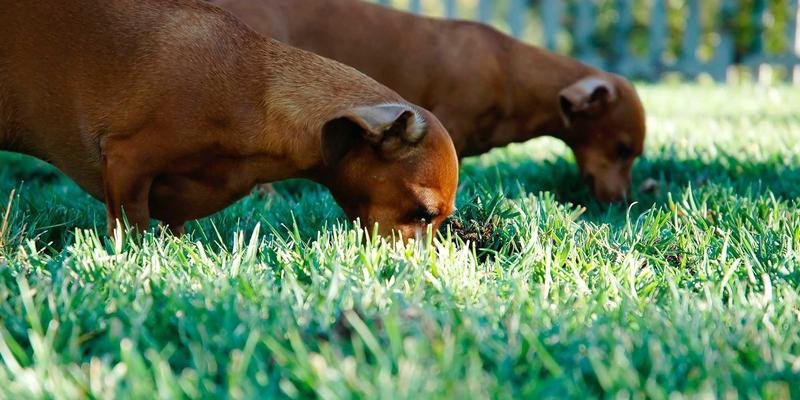 Hebei: China's Historical Crossroads and Modern Development Hub