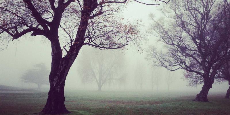 从药都到健康产业枢纽：河北安国如何以现代化business services与life services重塑中药材产业