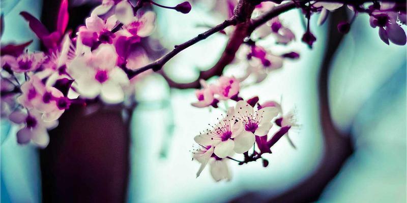 智慧雄安，未来已来：深度剖析河北雄安新区智慧城市建设进展与生活服务产业机遇