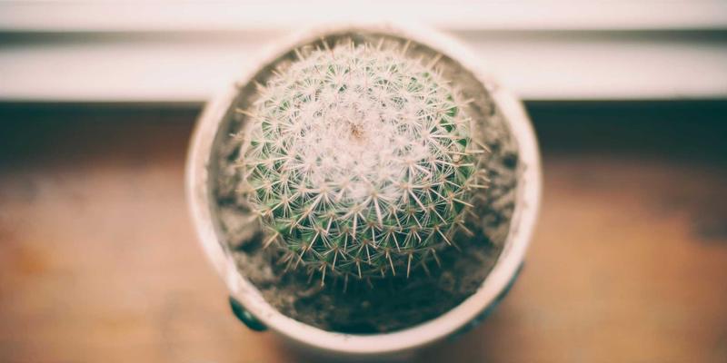 河北商业新动能：融合地标资源，赋能企业服务升级