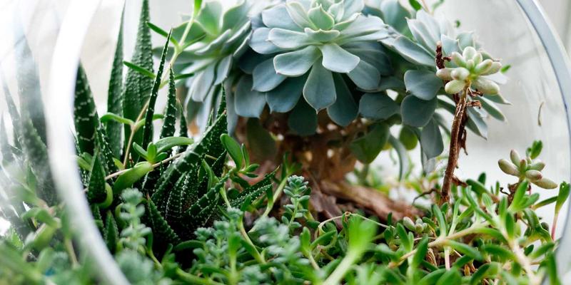 河北承德避暑山庄：文化遗产保护与旅游创新如何驱动商业服务新机遇