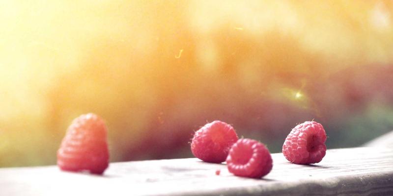 河北衡水湖湿地：生态保护与可持续旅游如何赋能本地商业