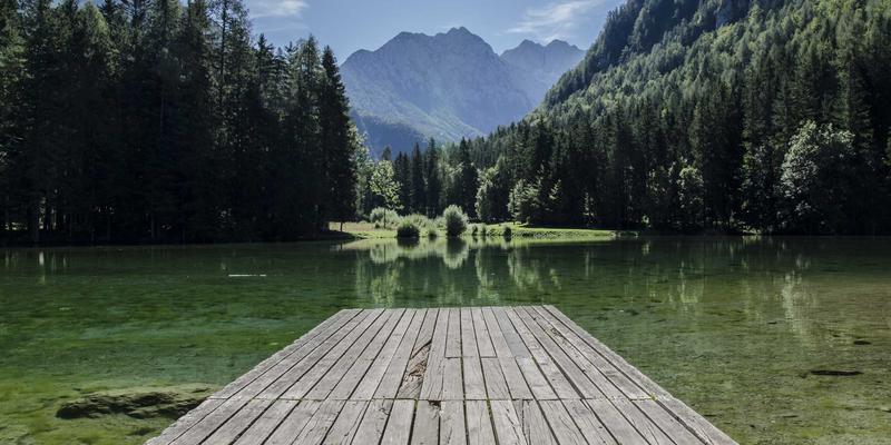 河北衡水湖湿地生态保护与观鸟旅游全指南：探索自然与文化的完美融合