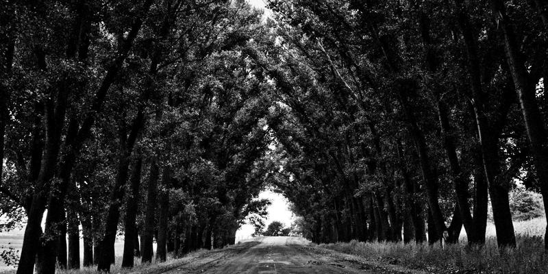 河北雄安新区智慧城市建设指南：数字孪生技术如何重塑本地商业与生活服务