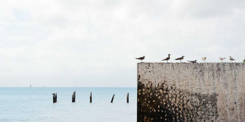 融合河北文化基因与本地商业生态：石家庄生物医药产业集群的独特优势与创新机遇